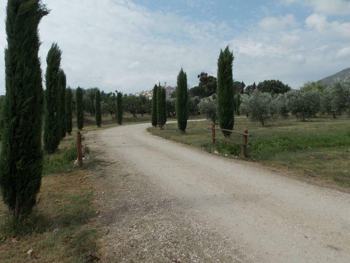 Agriturismo Cento Ducati Palombara Sabina Екстер'єр фото
