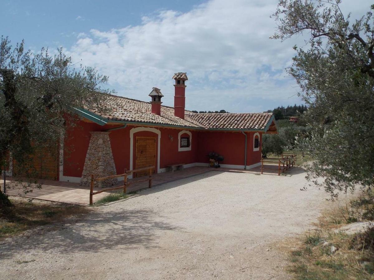 Agriturismo Cento Ducati Palombara Sabina Екстер'єр фото